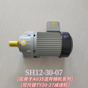 SH12-30-07电机