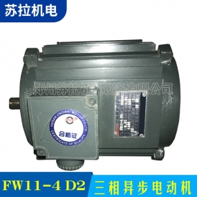 FW11-4D2三相异步电动机