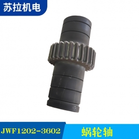 JWF1202-3602 蜗轮轴